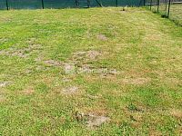 prodej krásné zahrady s možností výstavby objektu pro rodinnou rekreaci do 40 m2 plochy, obec Jílové u Děčína - 17