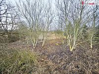 prodej pozemku (orné půdy) v Sulejovicích - 2