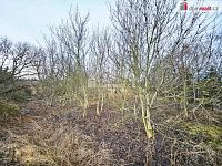 prodej pozemku (orné půdy) v Sulejovicích - 3