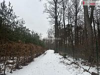 prodej chaty v Kersku s velkým pozemkem - 19