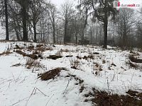 Prodej stavebního pozemku, Jindřichovice - Mezihorská