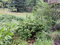 Dlouhodobý pronájem chaty ve Vysoké Štole u Nejdku - 23