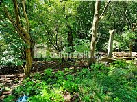 Prodej RD s velkým pozemkem určeného k zástavbě - 11