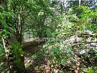 Prodej RD s velkým pozemkem určeného k zástavbě - 12