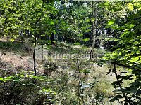 Prodej RD s velkým pozemkem určeného k zástavbě - 15