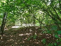 Prodej RD s velkým pozemkem určeného k zástavbě - 17