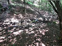 Prodej RD s velkým pozemkem určeného k zástavbě - 18