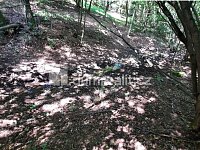 Prodej RD s velkým pozemkem určeného k zástavbě - 19