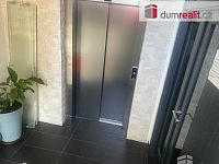 pokoj, 16 m2, Pilská, Praha - 12