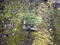 Krásná chata v obci Šťáhlavice - 29