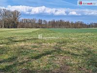 prodej orné půdy, trvalého travního porostu a lesního pozemku 23.392 m2, Loukov, okr. Mladá Boleslav, Středočeský kraj  - 12