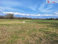 prodej orné půdy, trvalého travního porostu a lesního pozemku 23.392 m2, Loukov, okr. Mladá Boleslav, Středočeský kraj  - 13