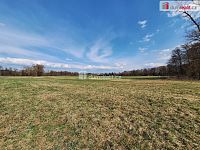 prodej orné půdy, trvalého travního porostu a lesního pozemku 23.392 m2, Loukov, okr. Mladá Boleslav, Středočeský kraj  - 14