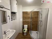 Pronájem bytu 2+1, 52m2, Purkyňova, Ústí nad Labem - 12