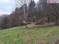 prodej zbořeniště 144 m² a trvalého travního porostu 5300 m² Bítouchov u Semil Liberecký kraj - 14