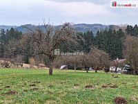 prodej zbořeniště 144 m² a trvalého travního porostu 5300 m² Bítouchov u Semil Liberecký kraj - 8