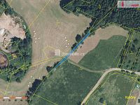 prodej pozemků trvalého travního porostu a ostatní plochy celkem 11.449 m2, Bítouchov u Semil, Liberecký kraj