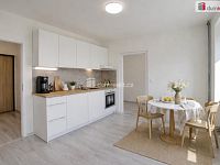 Pronájem bytu 1+1, 32 m2, Purkyňova, Ústí nad Labem