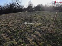 Prodej zahradního pozemku 264m², Praha 10- osada Dubeček, poslední pozemek - 5