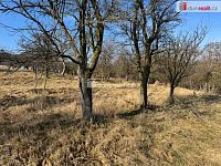 Prodej zahrady o výměře 668m2 v Ratajích u Kroměříže - 3