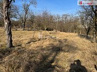 Prodej zahrady o výměře 668m2 v Ratajích u Kroměříže - 4