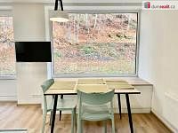 Prodej bytu 1+kk Jáchymov, okr. Karlovy Vary - 9