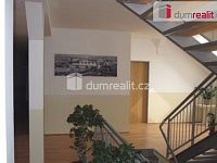 Pronájem pokoje s koupelnou a WC,20m2,Praha 8, Zenklova - 7