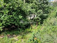 Prodej pozemku, 5544 m2, Pod Skalkou, Liberec - 5