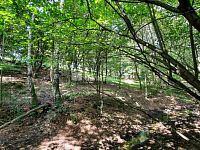 Prodej pozemku, 5544 m2, Pod Skalkou, Liberec - 6