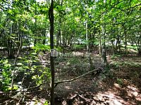 Prodej pozemku, 5544 m2, Pod Skalkou, Liberec - 7