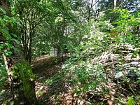 Prodej pozemku, 5544 m2, Pod Skalkou, Liberec - pozemek