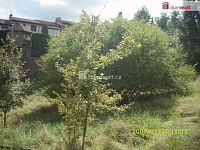 Pozemek k výstavbě Liberec-Vratislavice 2921 m2 - 9