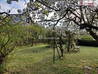 Prodej dřevěné podsklepené zahradní chaty 20m2, zahrada 385 m2, osada Jenerálka, Praha Dejvice - 4