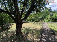 Prodej dřevěné podsklepené zahradní chaty 20m2, zahrada 385 m2, osada Jenerálka, Praha Dejvice - 5
