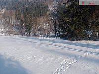 pozemek k výstavbě, 4233 m2, Pstruží, okr. Karlovy Vary - 9