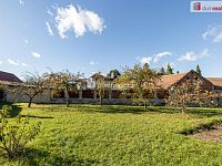 Prodej staršího RD s velkou zahradou, Dobrovíz - 10