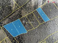 prodej lesa u obce Jelemek