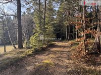 prodej lesa u obce Jelemek - 2