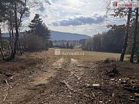 prodej lesa u obce Jelemek - 6
