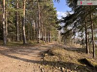 prodej lesa u obce Jelemek - 7