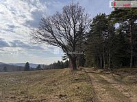prodej lesa u obce Jelemek - 8