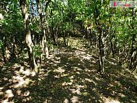 prodej rovinatého pozemku o velikosti 1.141m2 v obci Hranice - Drahotuše  - 11