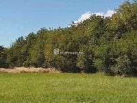 prodej rovinatého pozemku o velikosti 1.141m2 v obci Hranice - Drahotuše  - 3