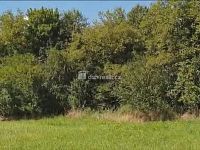 prodej rovinatého pozemku o velikosti 1.141m2 v obci Hranice - Drahotuše  - 7