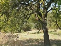 prodej rovinatého pozemku o velikosti 1.141m2 v obci Hranice - Drahotuše  - 8