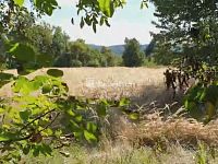 prodej rovinatého pozemku o velikosti 1.141m2 v obci Hranice - Drahotuše  - 9