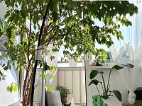 Pronájem bytu 2+1 v Roudnici nad Labem  - 7