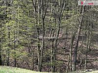 Stavební parcela Luhačovice, 1153 m2 - 13