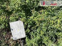 Stavební parcela Luhačovice, 1153 m2 - 14