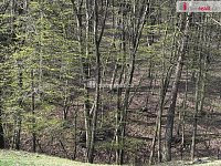 Stavební parcela Luhačovice, 1153 m2 - 22